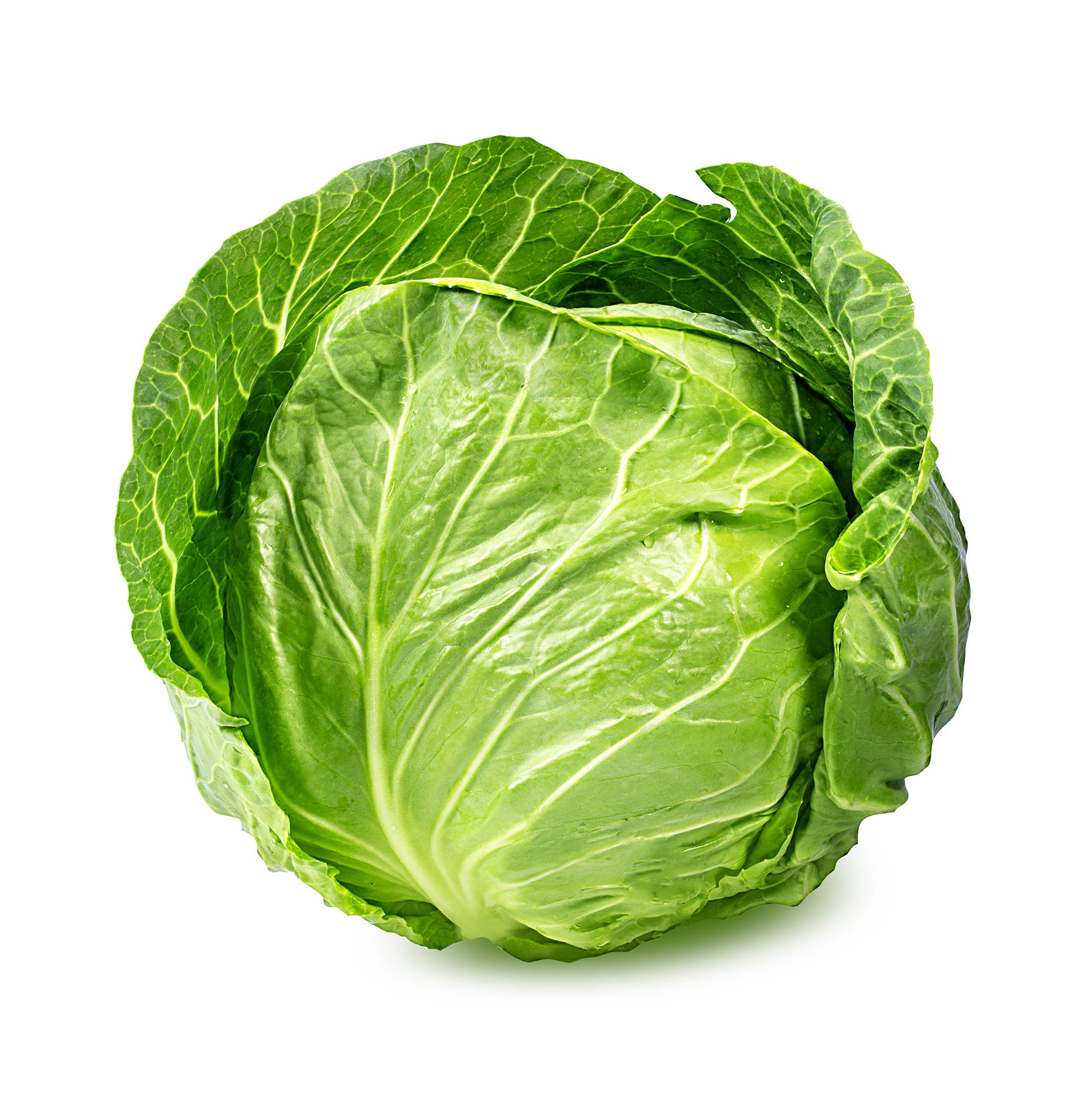 White Cabbage Image