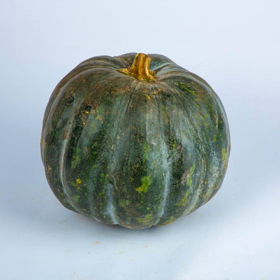 Medium Pumpkin Image