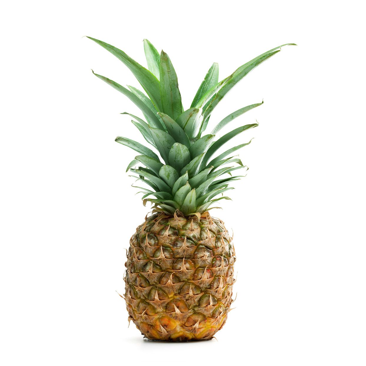 Medium Pineapples Image