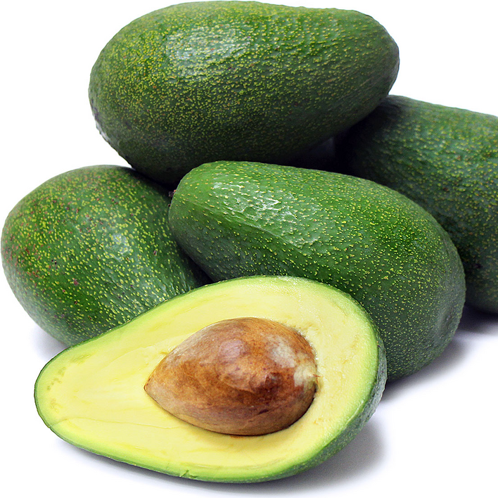 Avocado Fuerte Image