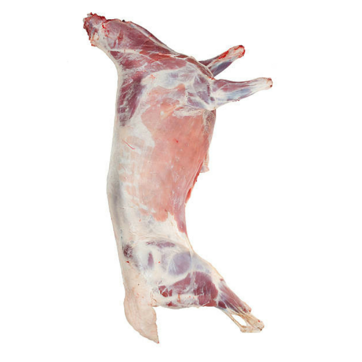 Whole Goat (L) Image