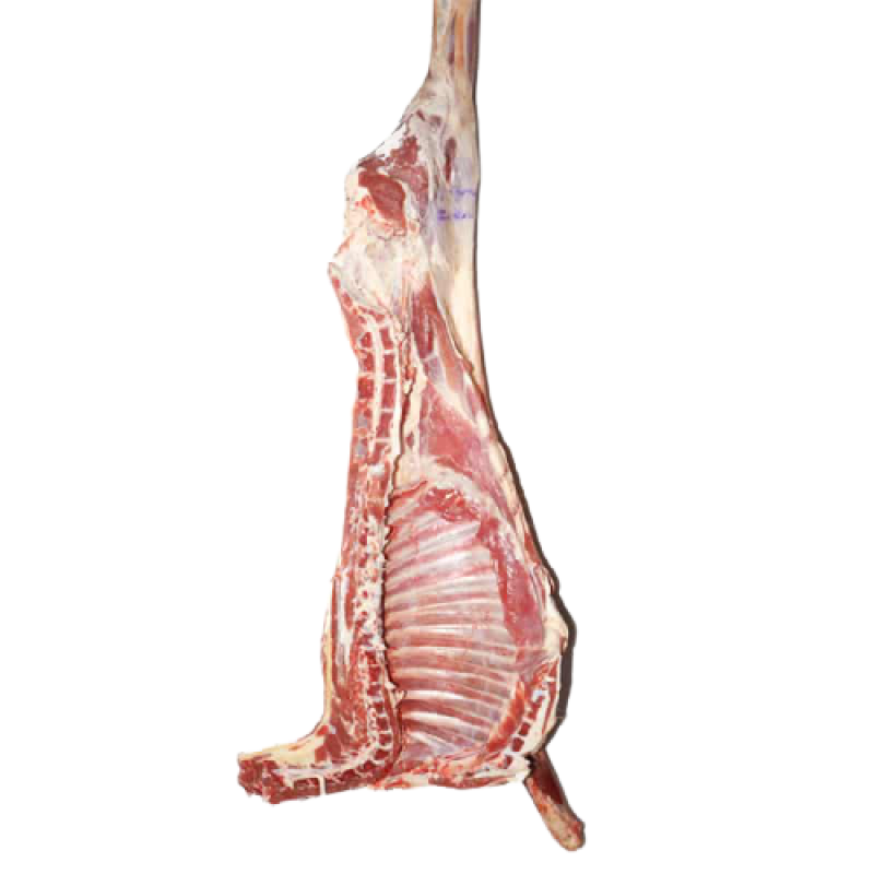 Half Goat (L) Image