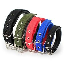 Cat and Dog Collar Image