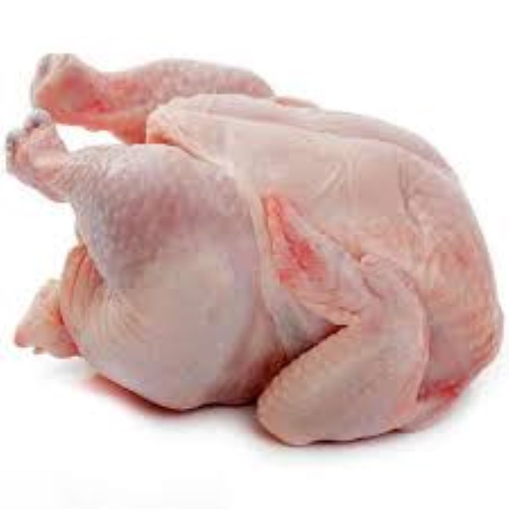 Ex Layer Chicken (Large) Image