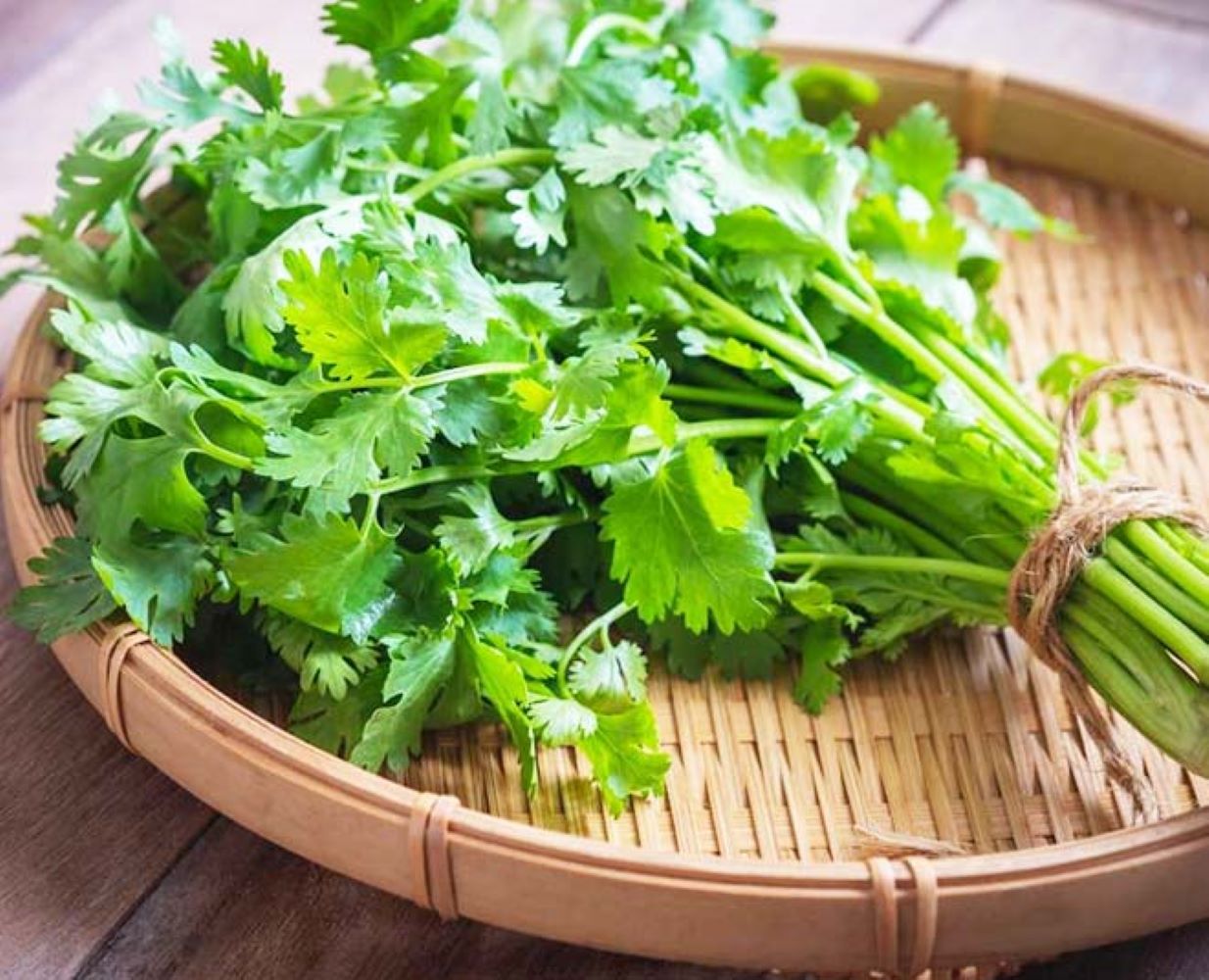 Coriander Leaves (Dania) Image