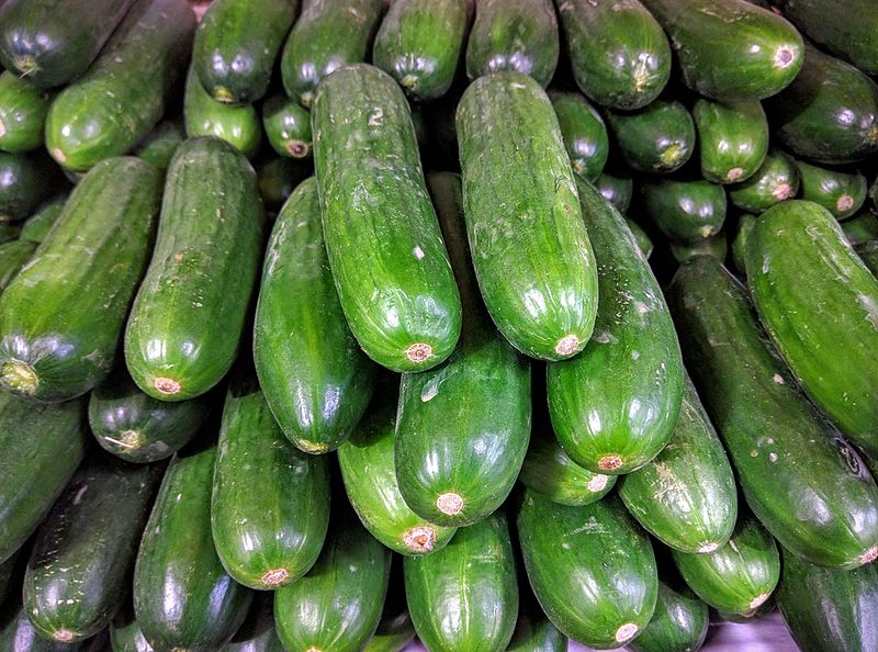 Cucumber Green Image